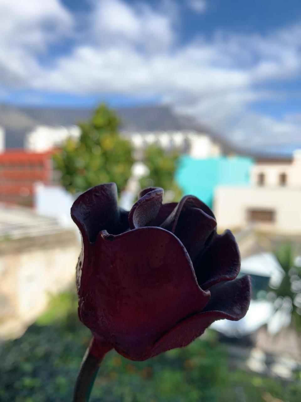 La Rose B&B Cape Town Luaran gambar