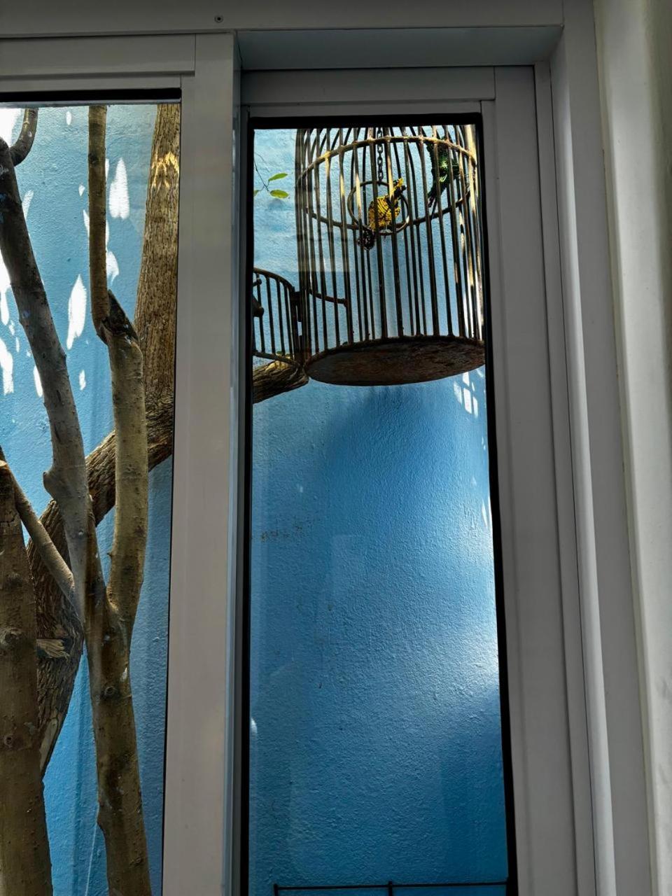 La Rose B&B Cape Town Luaran gambar